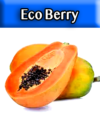 Ecoberry Papaya